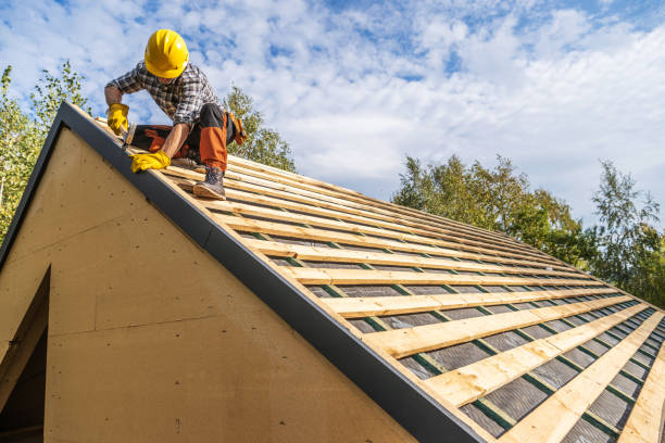 Best Roof Gutter Cleaning  in Zephyrhills South, FL
